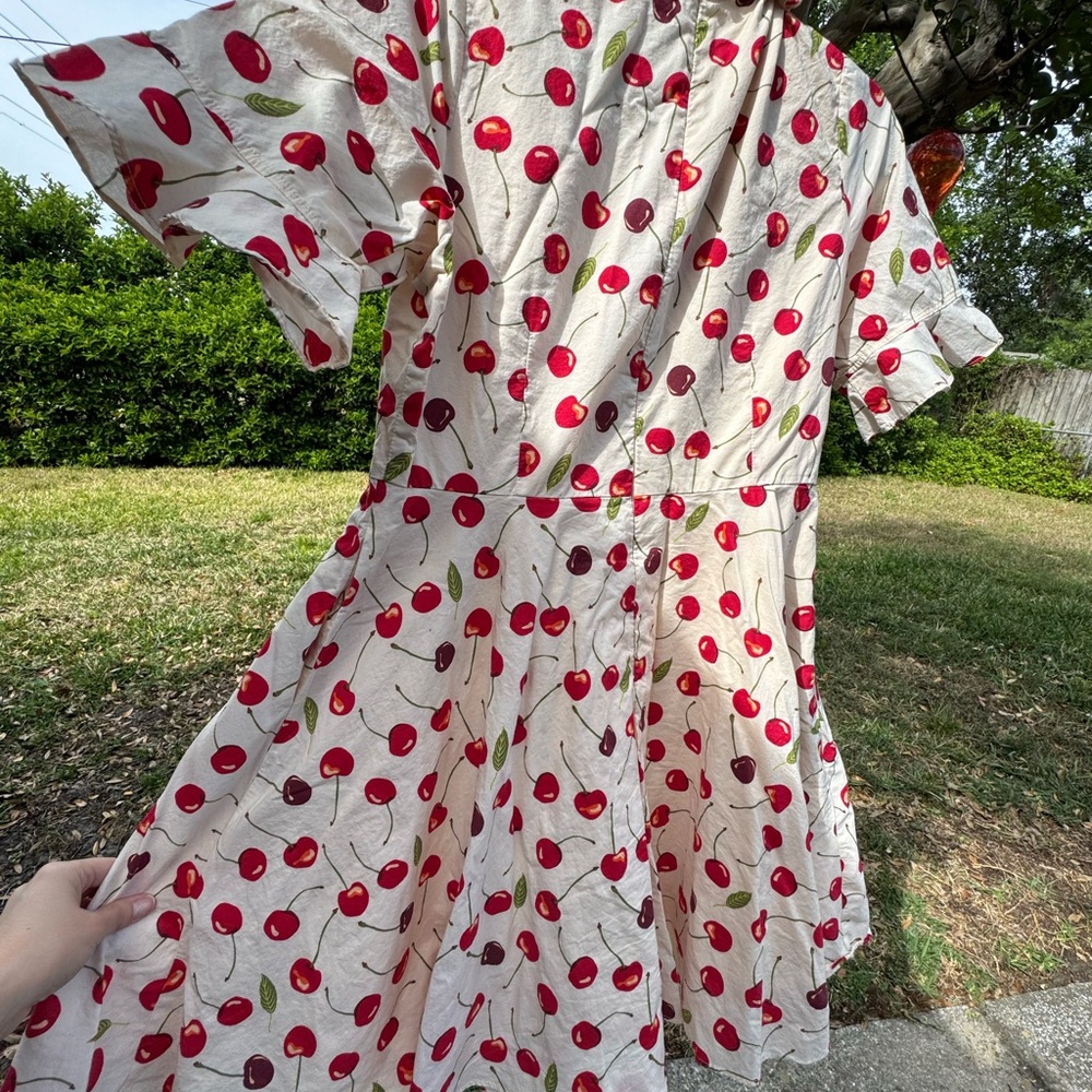 Ivy City Co Floral Red and White Dress